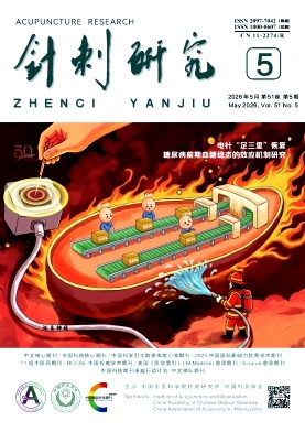 针刺研究封面